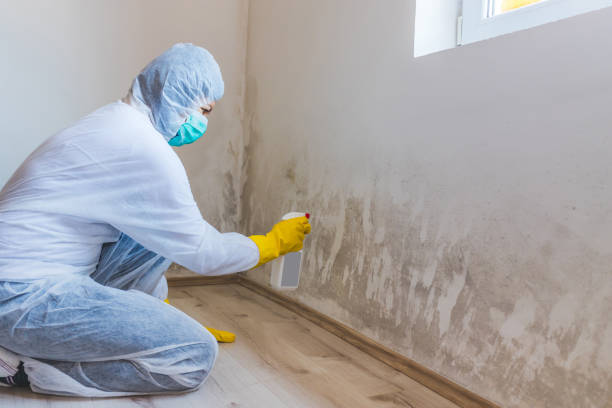 Commercial Mold Remediation assessment for commercial property in Johnstown