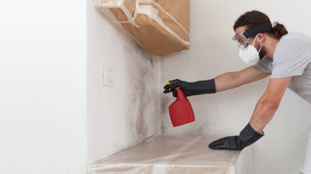 Attic Mold Remediation treatment on roof deck in Johnstown